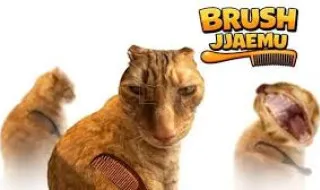 Brush Jjaemu