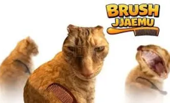 Play Brush Jjaemu now!