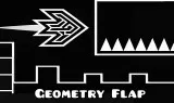 Geometry Flap